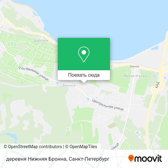 Карта деревня Нижняя Бронна
