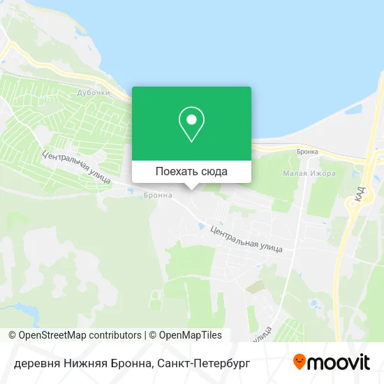 Карта деревня Нижняя Бронна