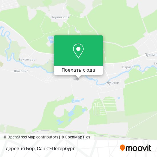 Карта деревня Бор
