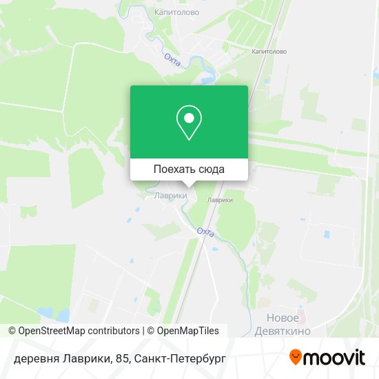Карта деревня Лаврики, 85