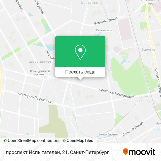 Карта проспект Испытателей, 21