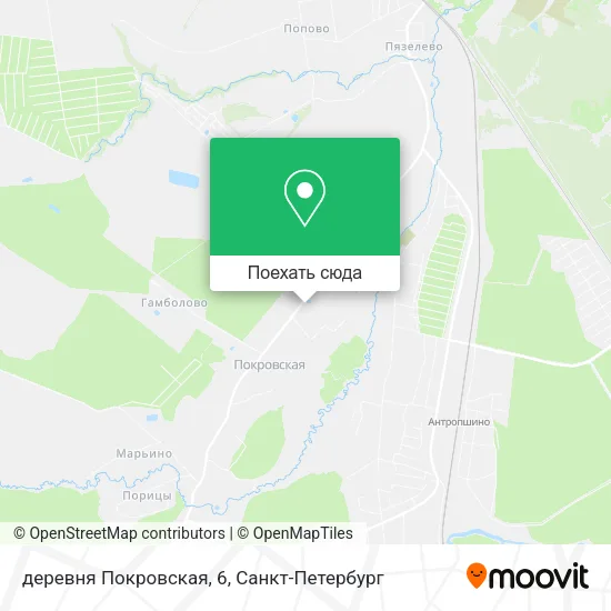 Карта деревня Покровская, 6