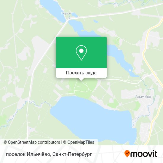 Карта поселок Ильичёво