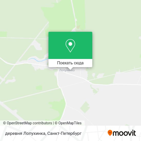 Карта деревня Лопухинка