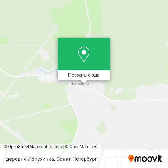 Карта деревня Лопухинка