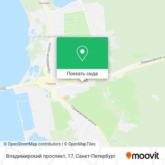 Карта Владимирский проспект, 17