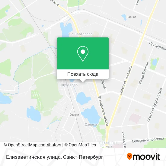 Карта Елизаветинская улица