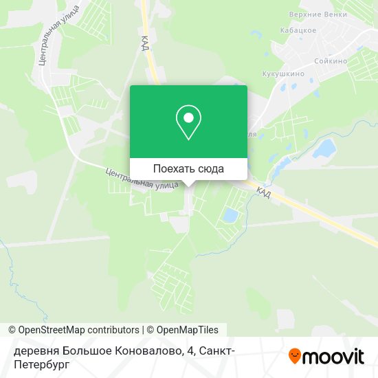 Карта деревня Большое Коновалово, 4