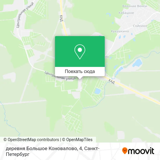 Карта деревня Большое Коновалово, 4