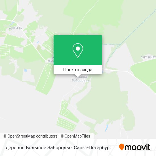 Карта деревня Большое Забородье
