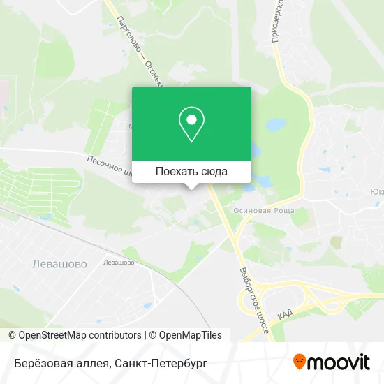 Карта Берёзовая аллея