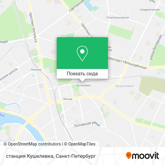 Карта станция Кушелевка