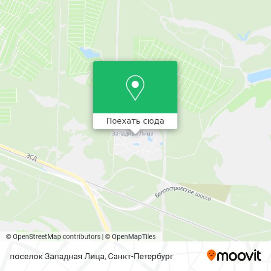 Карта поселок Западная Лица