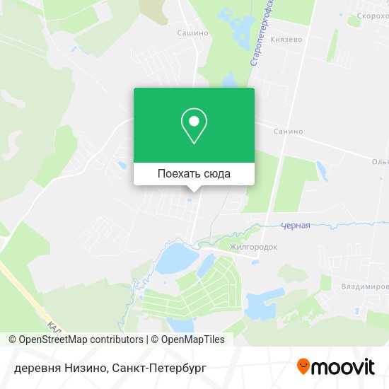 Карта деревня Низино