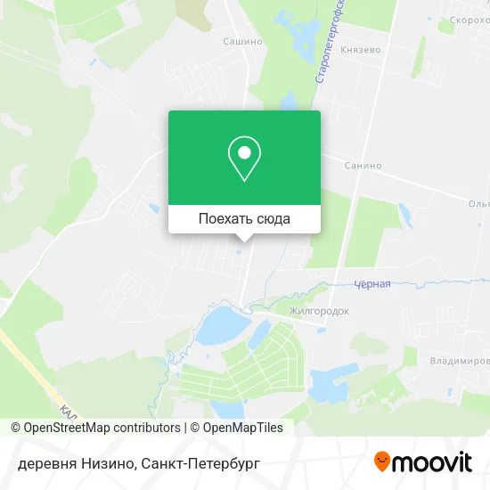 Карта деревня Низино