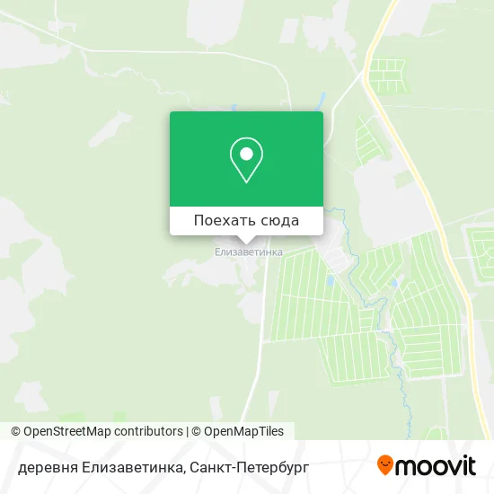 Карта деревня Елизаветинка