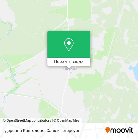 Карта деревня Кавголово