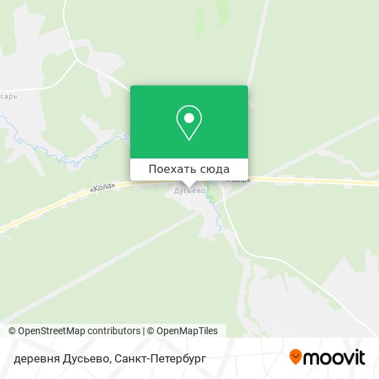 Карта деревня Дусьево