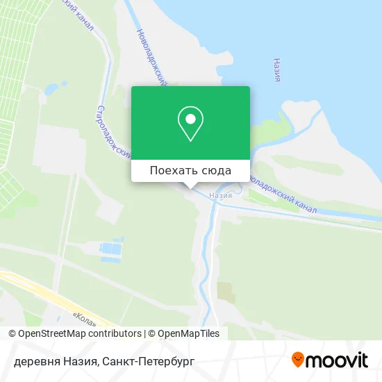 Карта деревня Назия