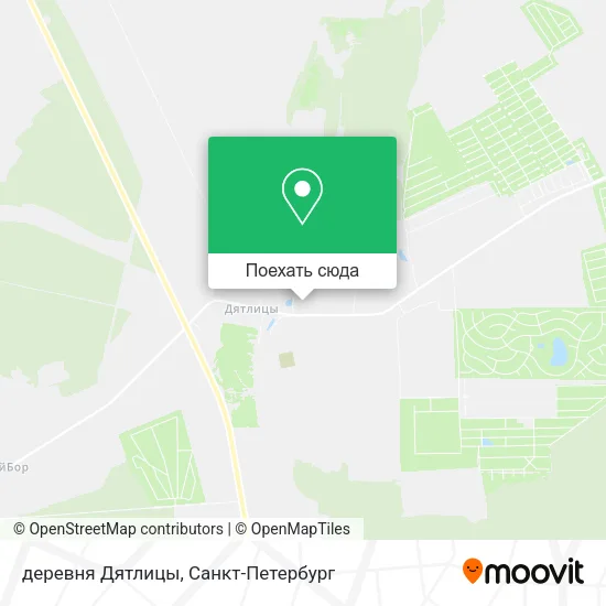 Карта деревня Дятлицы
