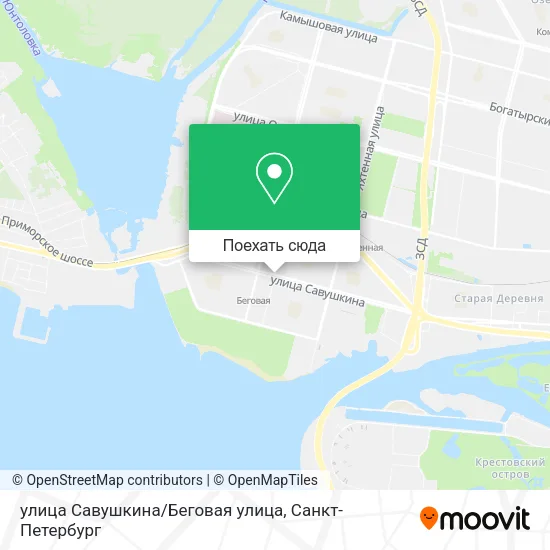 Карта улица Савушкина/Беговая улица