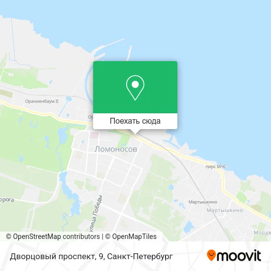 Карта Дворцовый проспект, 9