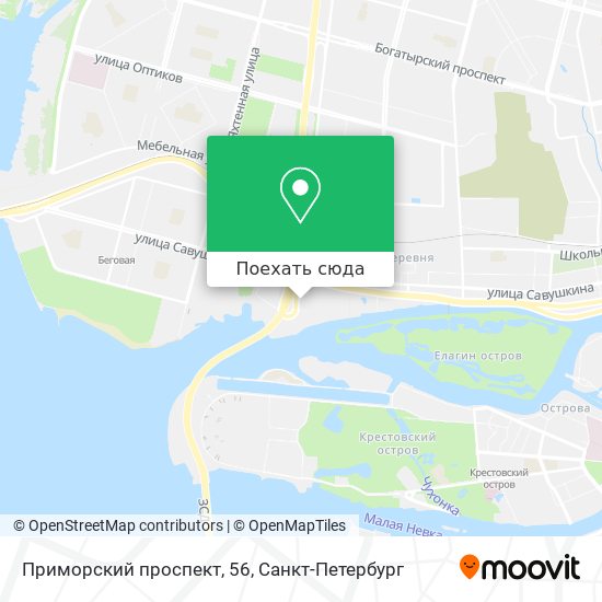 Карта Приморский проспект, 56