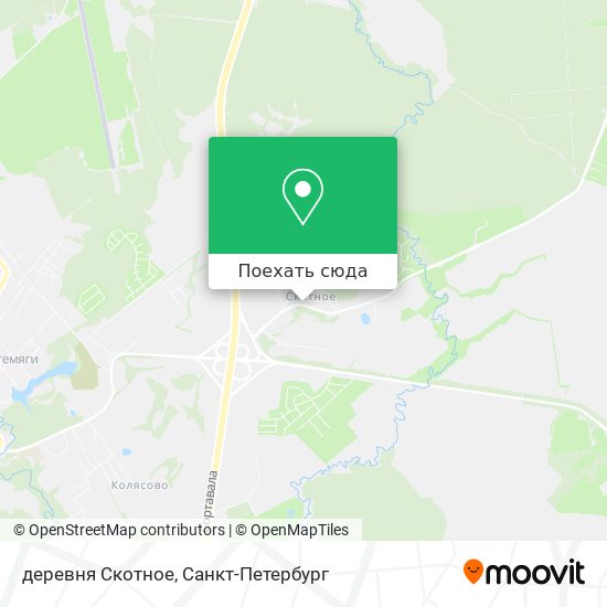 Карта деревня Скотное