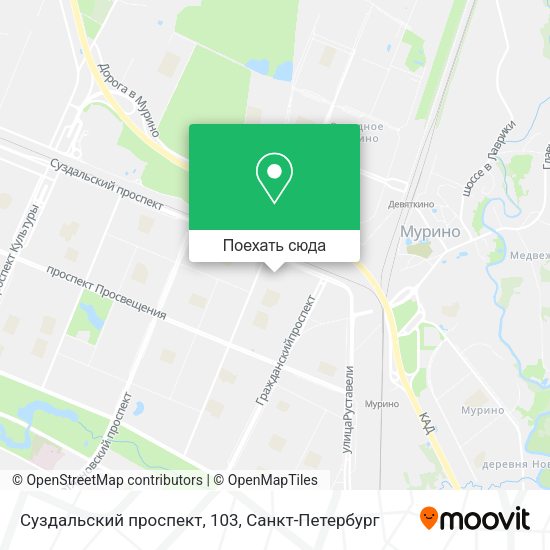 Карта Суздальский проспект, 103