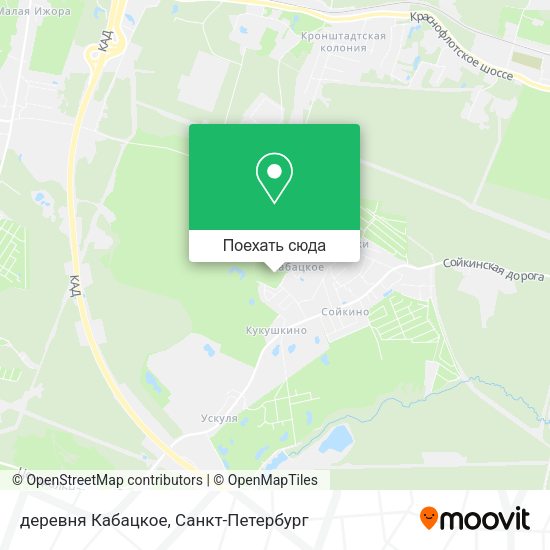 Карта деревня Кабацкое
