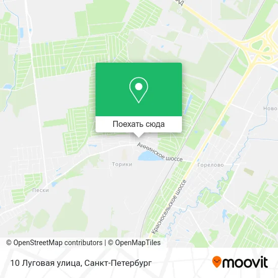 Карта 10 Луговая улица