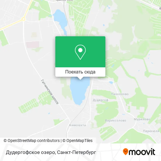 Карта Дудергофское озеро