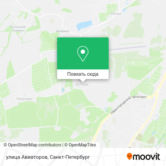 Карта улица Авиаторов
