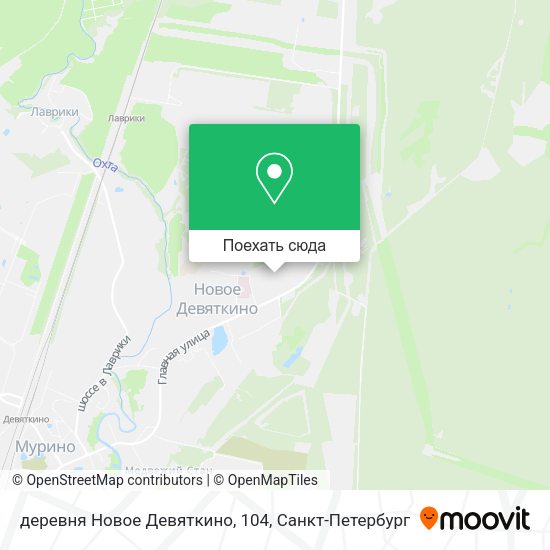 Карта деревня Новое Девяткино, 104
