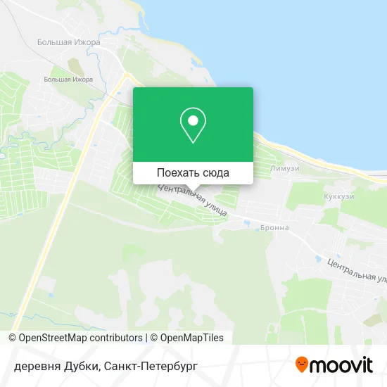 Карта деревня Дубки