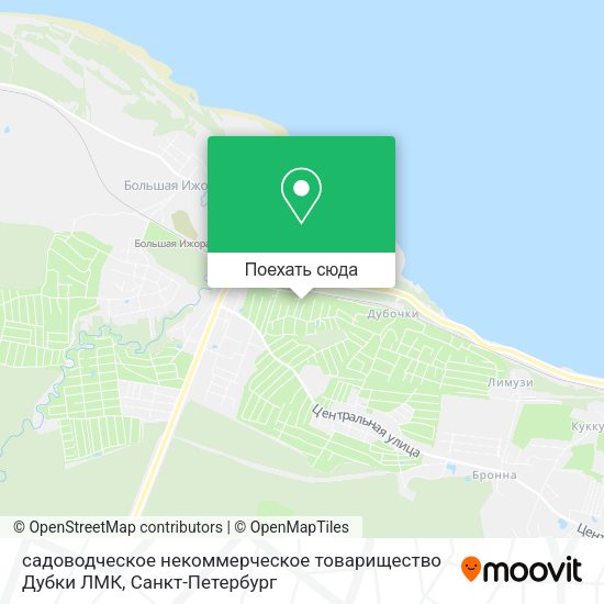Карта садоводческое некоммерческое товарищество Дубки ЛМК