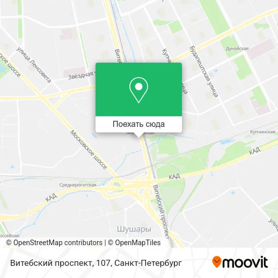 Карта Витебский проспект, 107