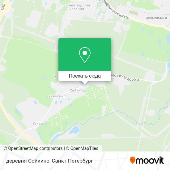 Карта деревня Сойкино