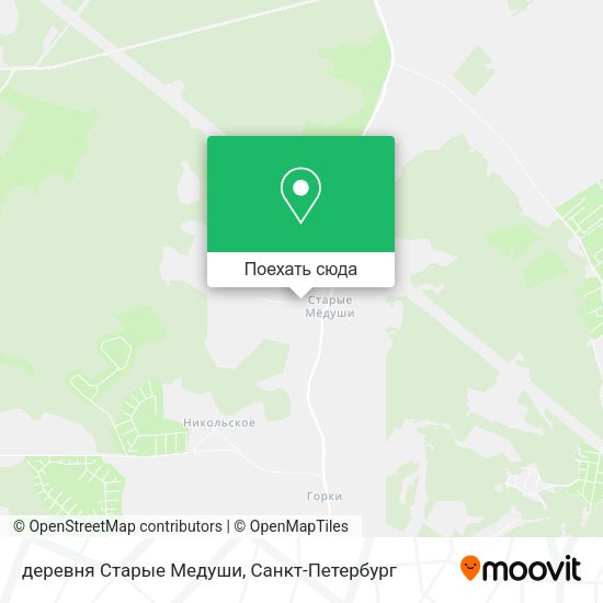 Карта деревня Старые Медуши