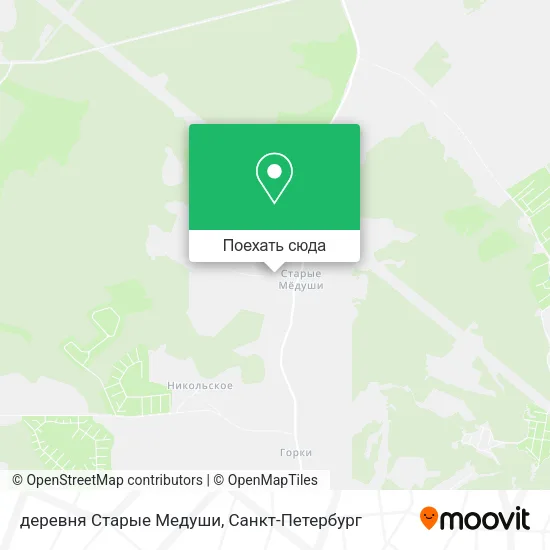 Карта деревня Старые Медуши