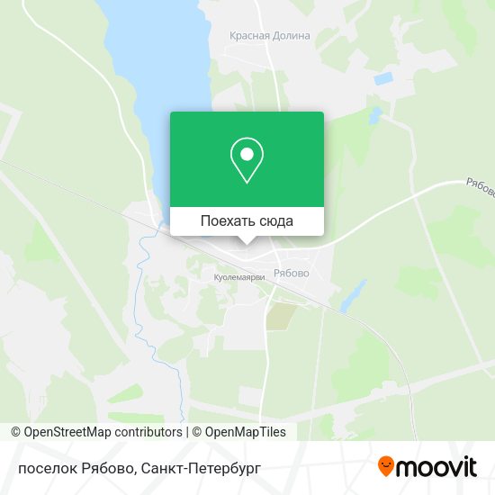 Карта поселок Рябово