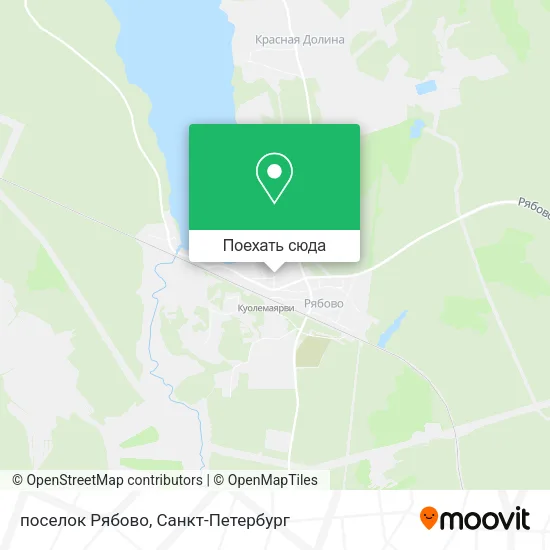 Карта поселок Рябово