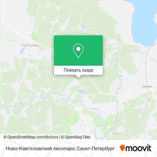 Карта Ново-Кавголовский лесопарк