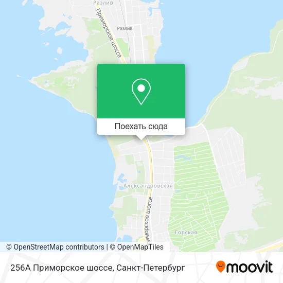 Карта 256А Приморское шоссе