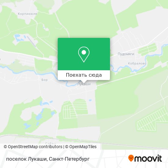 Карта поселок Лукаши