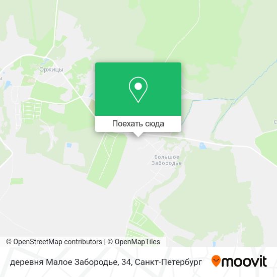Карта деревня Малое Забородье, 34