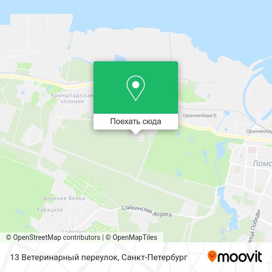 Карта 13 Ветеринарный переулок
