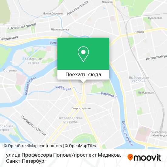 Петроградский метро автобус. Профессора Попова 23 на карте. Ул профессора Попова 23 на карте СПБ. Ул профессора Попова, д. 23 литера в на карте. Улица профессора Попова на карте.