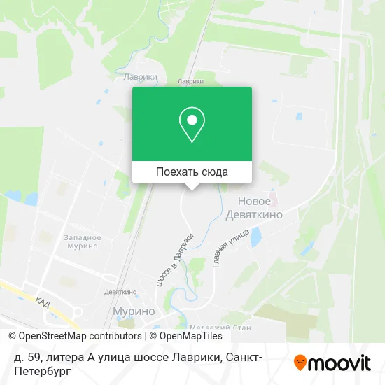 Карта д. 59, литера А улица шоссе Лаврики