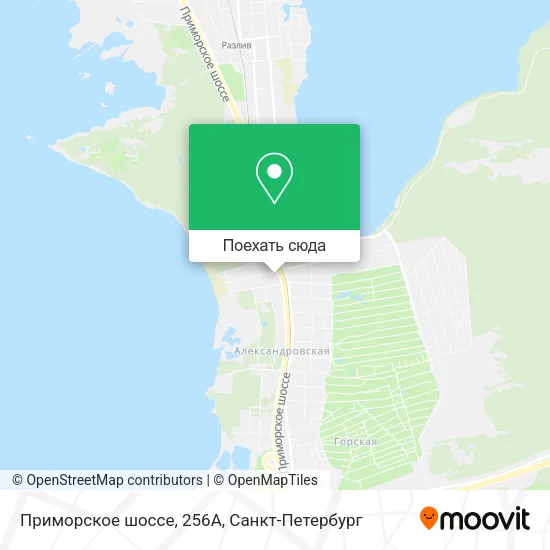 Карта Приморское шоссе, 256А